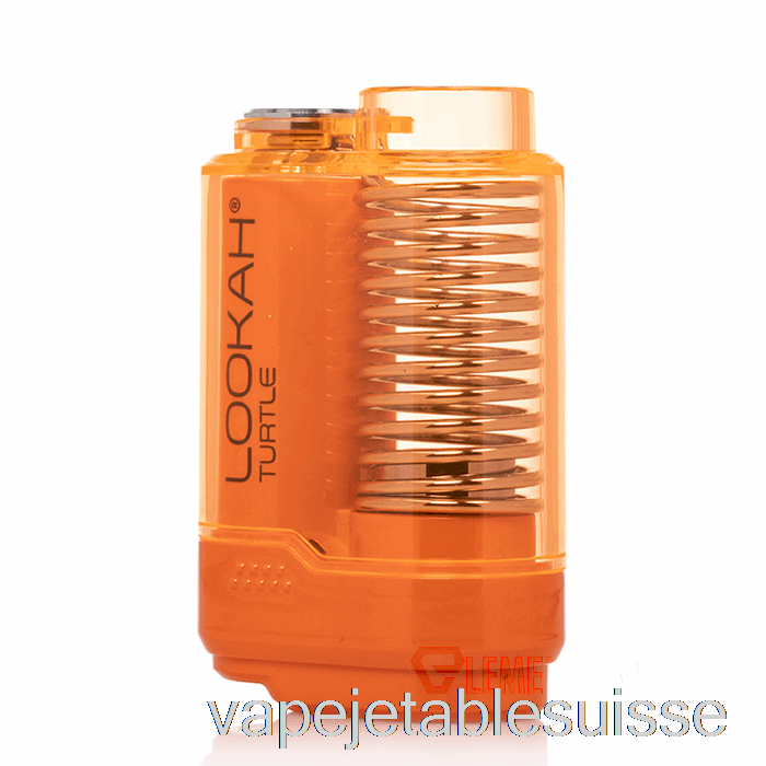 Vape Suisse Lookah Tortue 510 Batterie Orange
